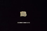 陶片藏品圖，第1張